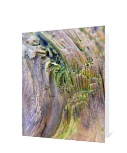 Tree Art Greeting Card Sku#1280755