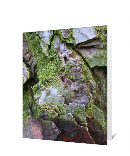 tree greeting card for sale