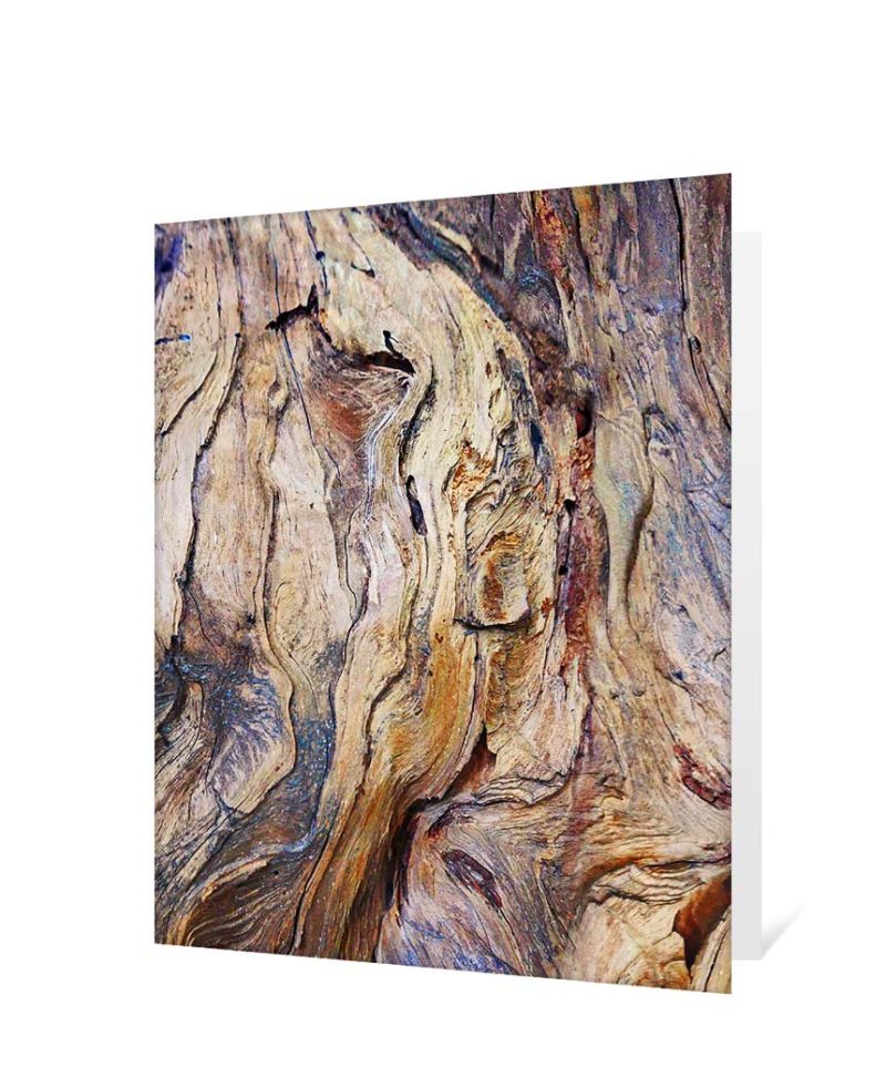 trees art greeting cards
