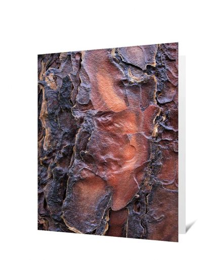 Trees Art Greeting Cards