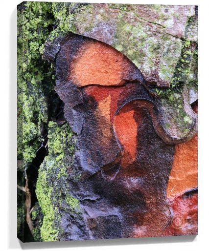trees wall art